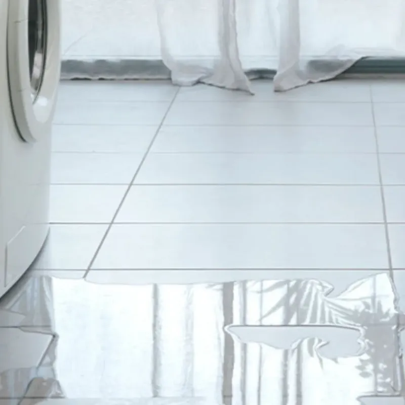 Appliance Leak Cleanup in Wallburg, NC