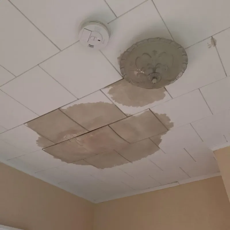 Ceiling Water Damage Repair in Wallburg, NC