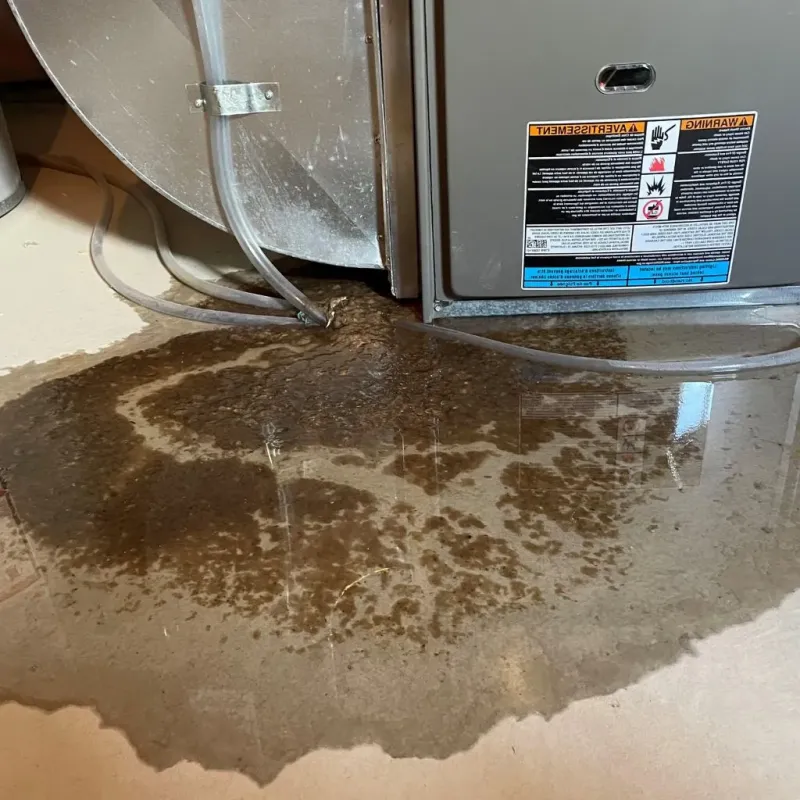 Pipe Burst and Leak Restoration in Wallburg, NC