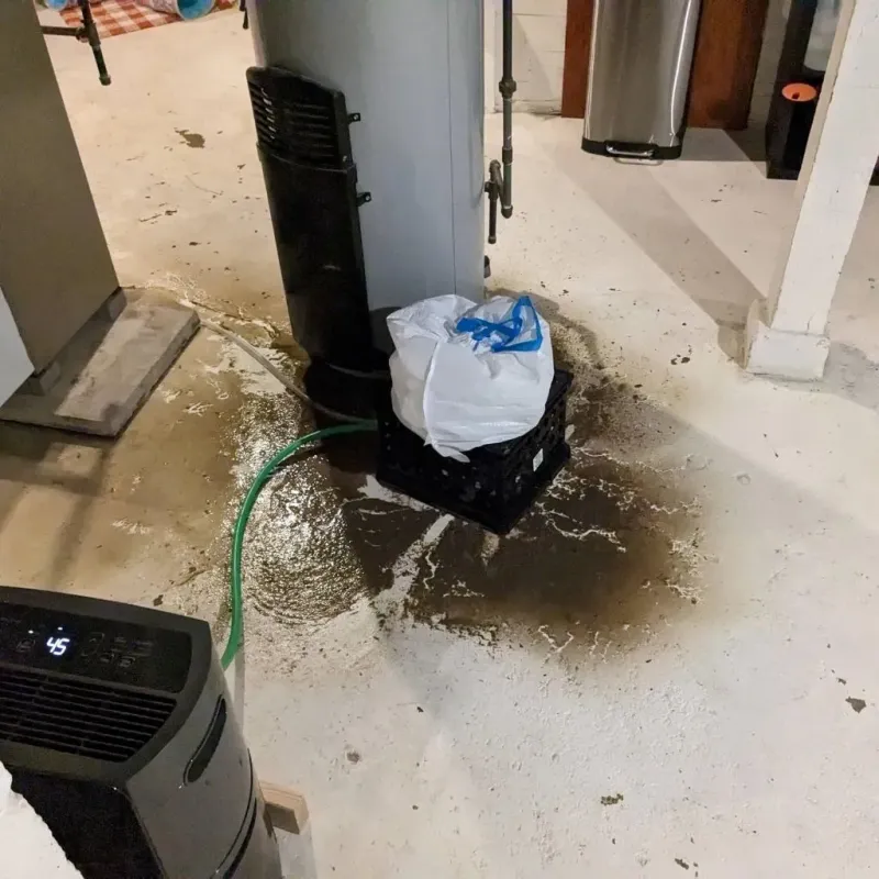 Sewage Backup Cleanup Service in Wallburg, NC